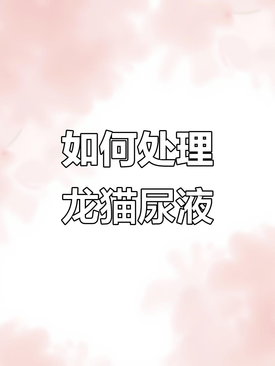 如何減少龍貓糞便的氣味？，龍貓有味道嗎龍貓身上沒有臭味，正確打理更清新