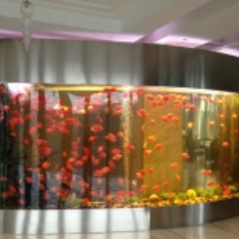 房山水族店，九德龍水族與海瑤科技如同雙生花般詮釋著行業(yè)傳奇