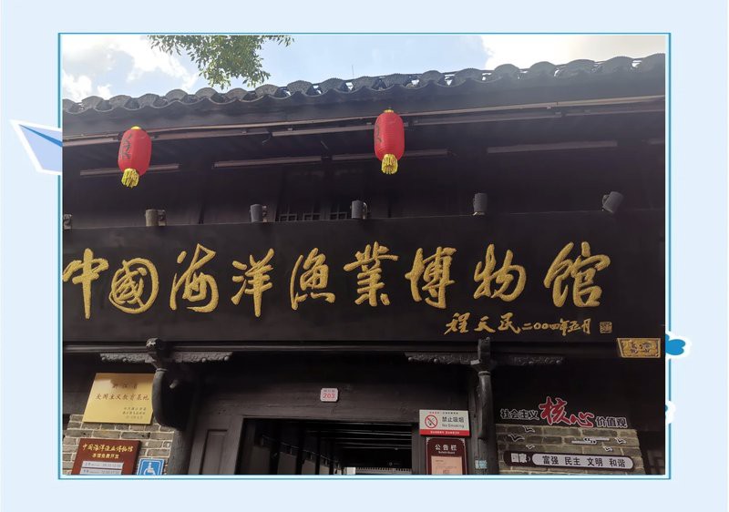 岱山水族店，岱山縣有哪些水族店