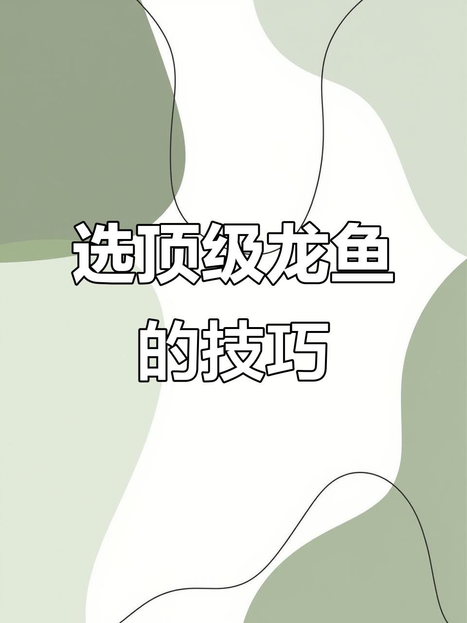 如何判斷龍魚和錦鯉的品相？，《如何判斷龍魚和錦鯉的品相》如何判斷龍魚和錦鯉的品相
