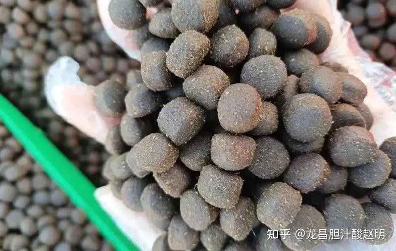 哪些情況下龍魚會充血？，\