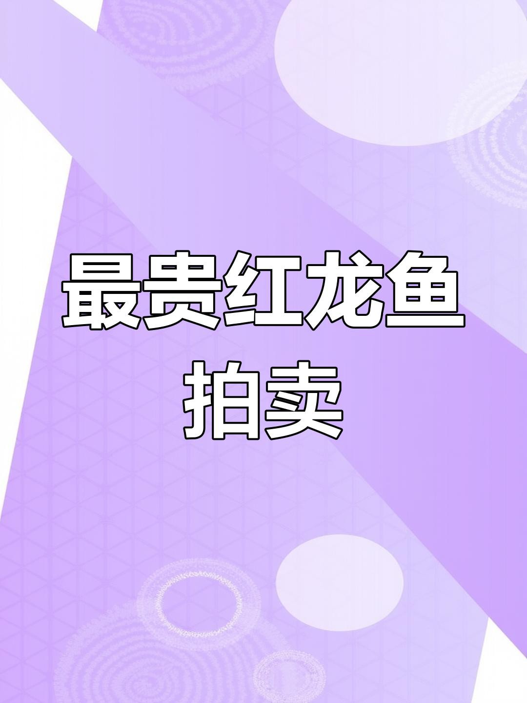 500萬紅龍魚的市場(chǎng)價(jià)格如何？，世界上最貴的觀賞魚價(jià)格500萬元
