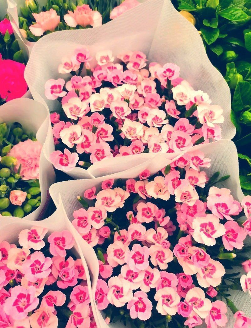 西安港務區水族批發市場，西安國際港務區水族批發市場