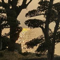 來賓龍魚店，興賓區江龍魚粉店2020年10月開業專注經營特色魚粉美食