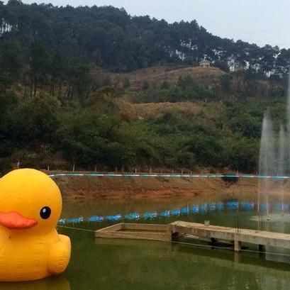 韶關龍魚店，韶關龍騰魚莊——韶關人靠山吃山，靠水吃水生活智慧的生動寫照