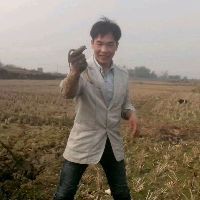 劍魚一般多少錢一斤，劍魚價格走勢如何