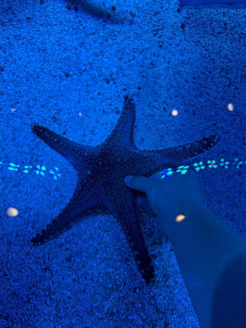 運城水族店，運城水族店分布廣泛且各具特色