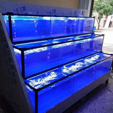 衡陽魚缸定做，衡陽地區(qū)的魚缸定做服務(wù)涵蓋多種類型與風(fēng)格滿足不同的需求