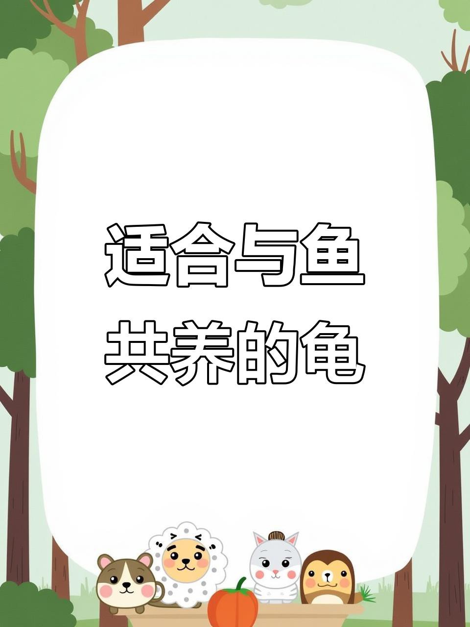 哪些品種的魚適合與龍龜混養？，適合與龍龜混養的魚類