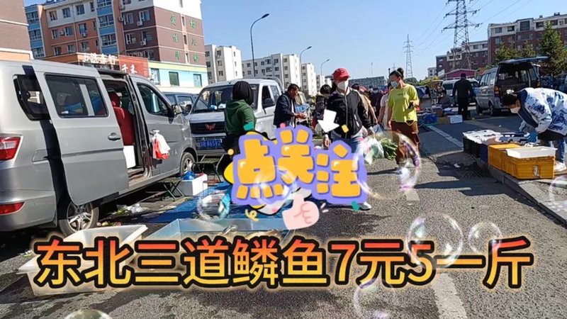 三道鱗魚價格多少錢一斤，三道鱗魚的價格