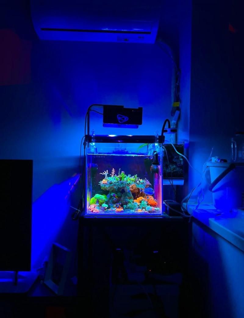 杭州魚缸定做，杭州亞克力魚缸定做