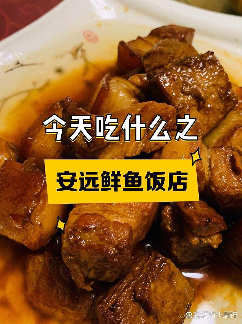 安遠(yuǎn)龍魚店，安遠(yuǎn)龍魚店有哪些品種的龍魚店具體位置在哪里