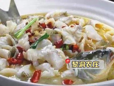 安遠(yuǎn)龍魚店，安遠(yuǎn)龍魚店有哪些品種的龍魚店具體位置在哪里