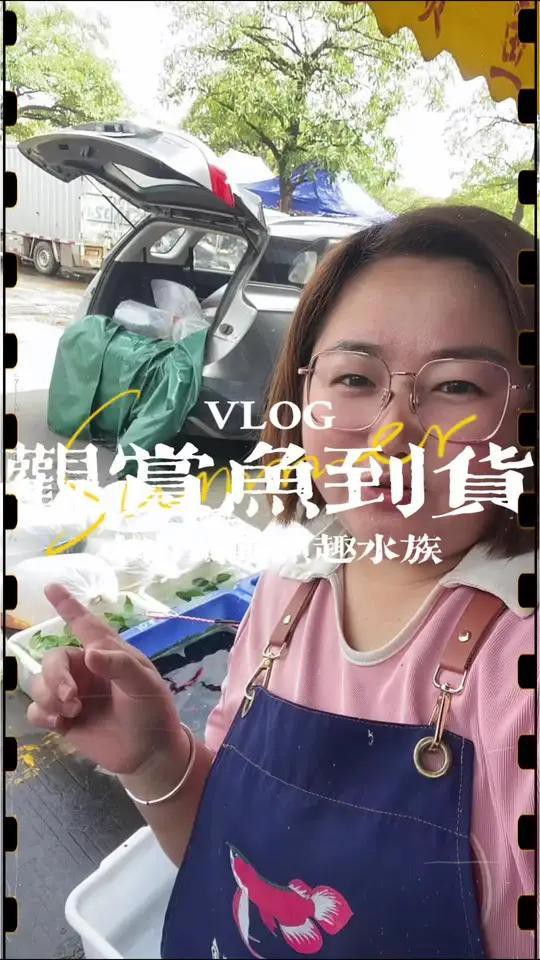 岢嵐水族店，岢嵐縣美致生態水族