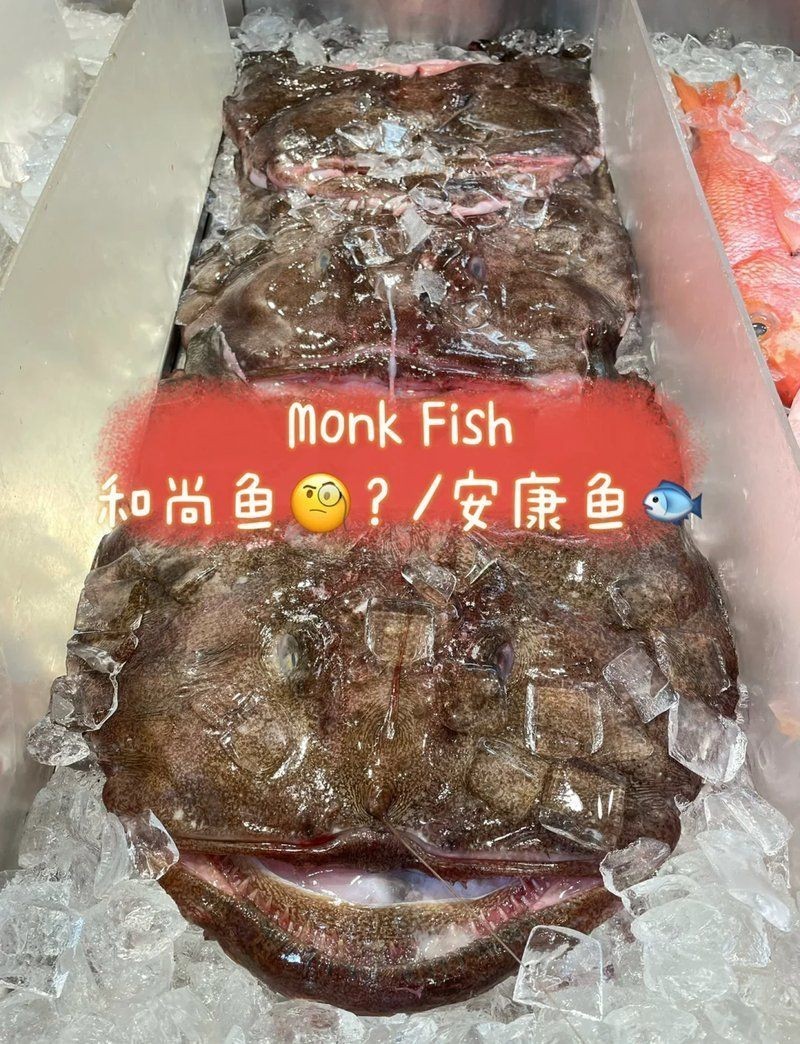 和尚魚最忌3種魚，《和尚魚最忌3種魚》