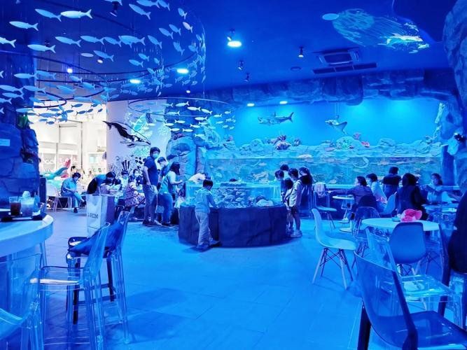 清遠水族館，探秘清遠水族館