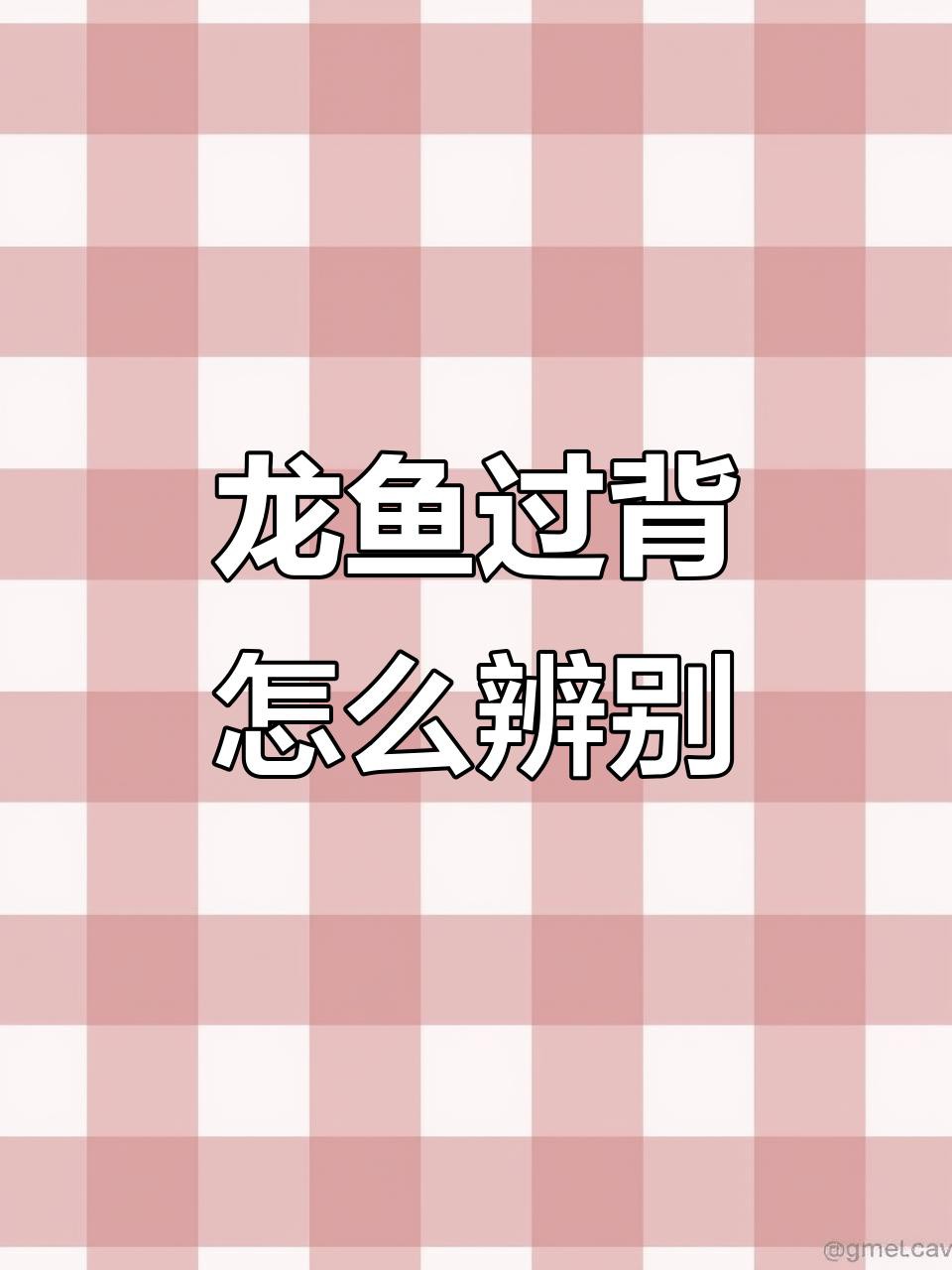 如何區分紅龍魚和金頭過背？，如何區分紅龍魚和金頭過背