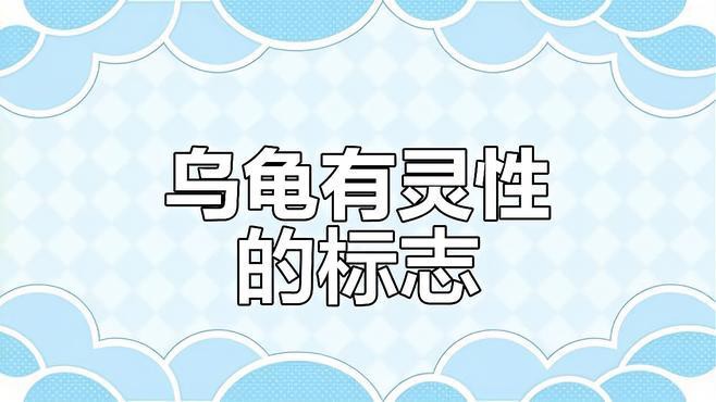 如何判斷龍龜是否具有靈性？，如何判斷龍龜是否具有靈性