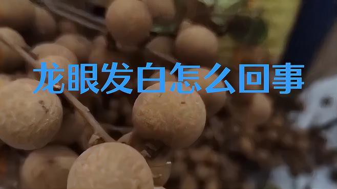 如何保存龍眼以避免表皮出現白色物質？，新鮮龍眼這樣保存,一個月都不壞!