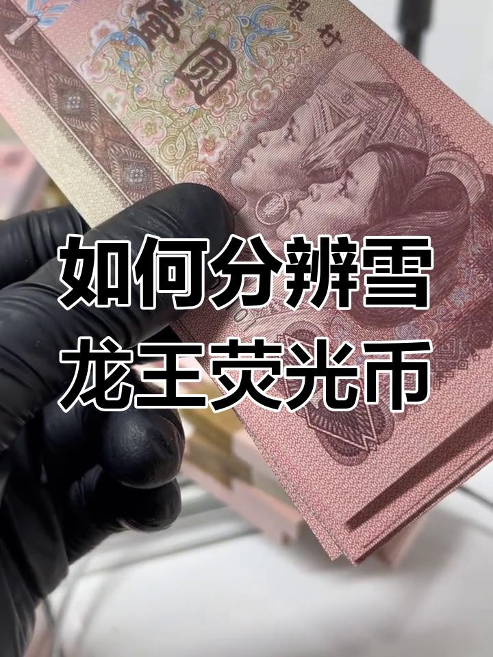 如何鑒別真假雪龍？，《如何鑒別真假雪龍》在市場魚龍混雜的情況下