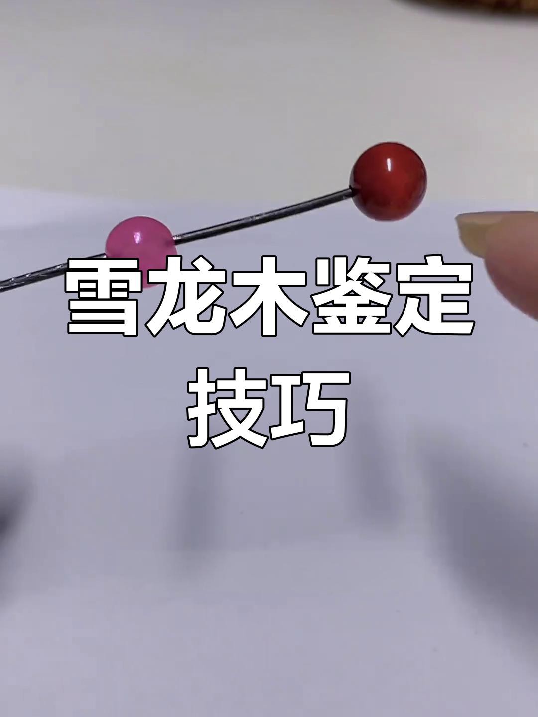 如何鑒別真假雪龍？，《如何鑒別真假雪龍》在市場魚龍混雜的情況下