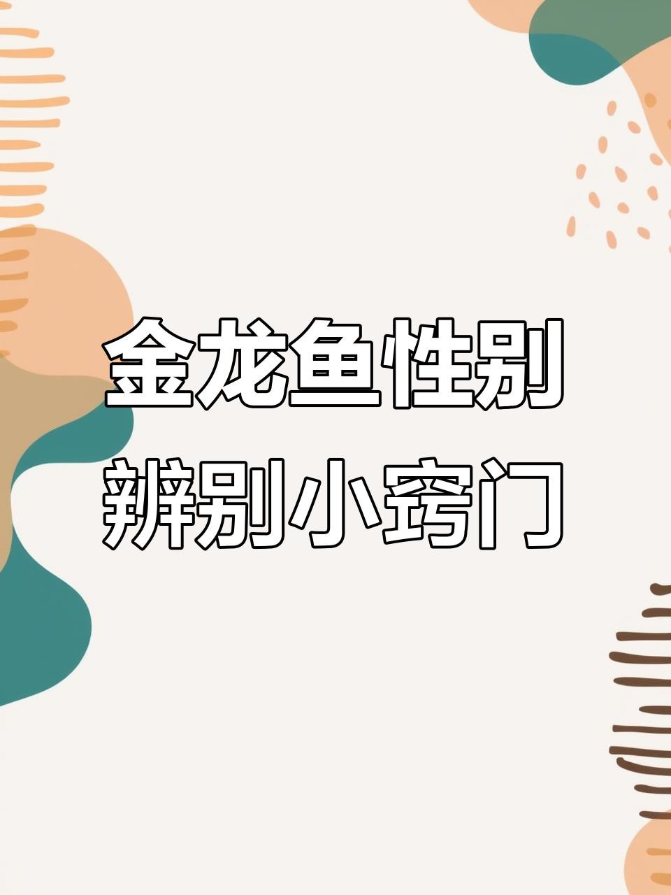 如何挑選金龍魚的性別，挑選金龍魚的性別是一項需要專業知識與經驗積累的技能