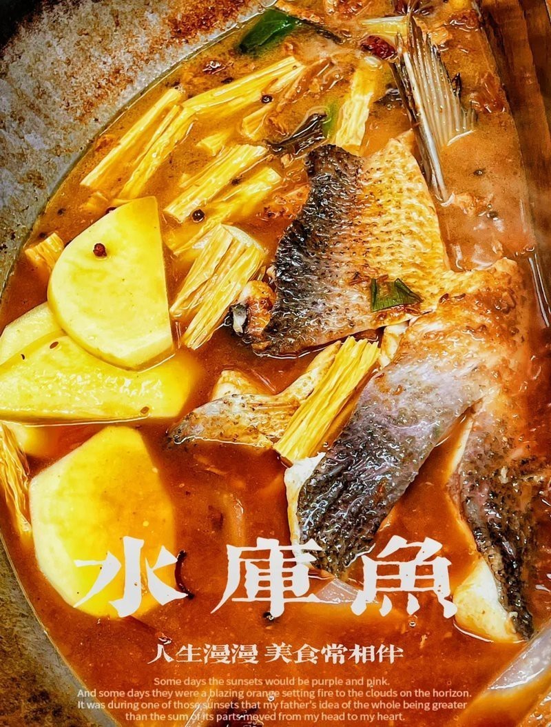 密云龍魚店，北京密云龍魚店哪家口碑最好