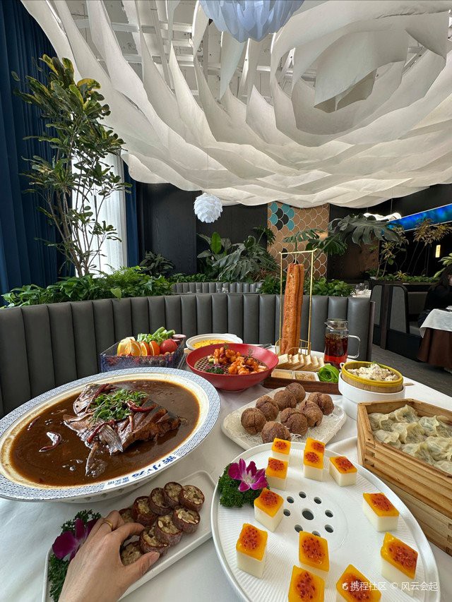 密云龍魚店，北京密云龍魚店哪家口碑最好