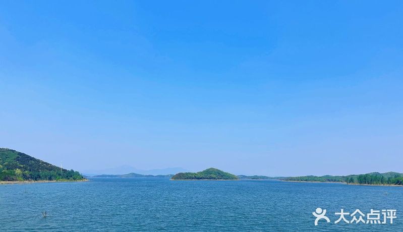 密云龍魚店，北京密云龍魚店哪家口碑最好