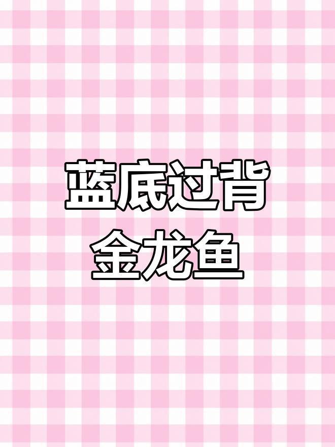 如何判斷藍底過背金龍魚的品相？，古典藍底過背金龍該怎么選龍魚啊成揭秘!