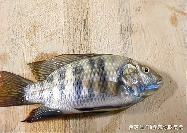 福壽魚的功效與作用，吃福壽魚的好處和壞處