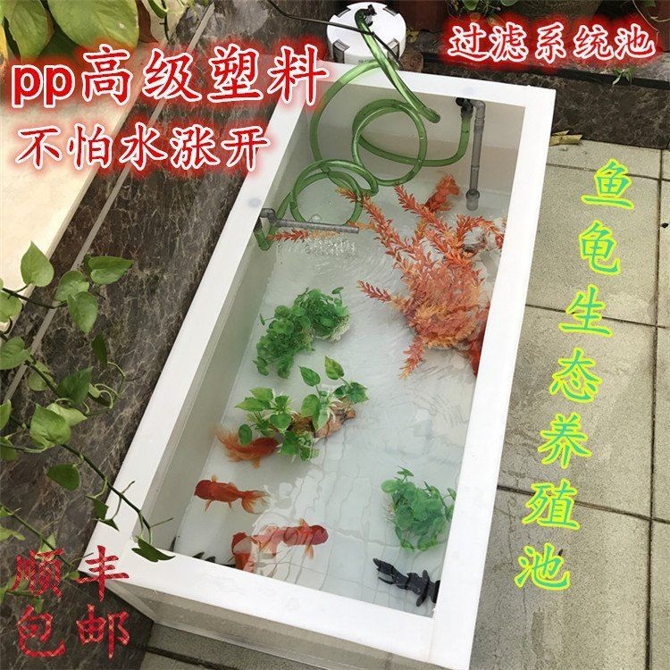 陽江魚缸店，陽江魚缸店分布廣泛且各具特色