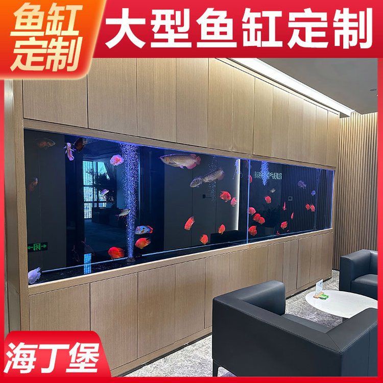 陽江魚缸店，陽江魚缸店分布廣泛且各具特色