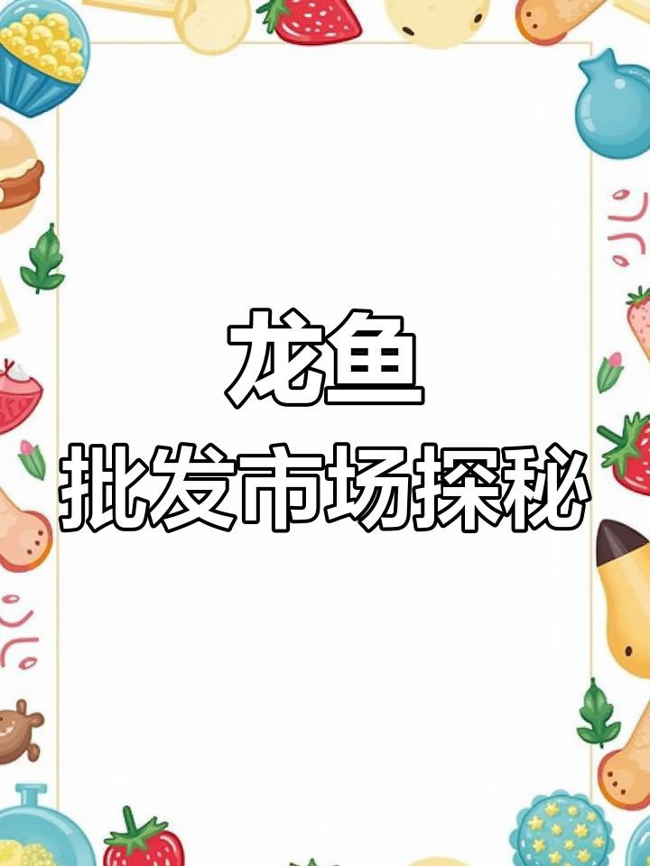 哪里可以買到性價比高的短身紅龍魚？，短身紅龍魚啊捷批發市場龍魚大揭秘超值價格讓你心動