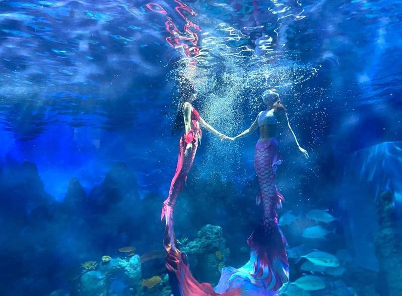 廣漢水族店，廣漢哪家水族店口碑最好