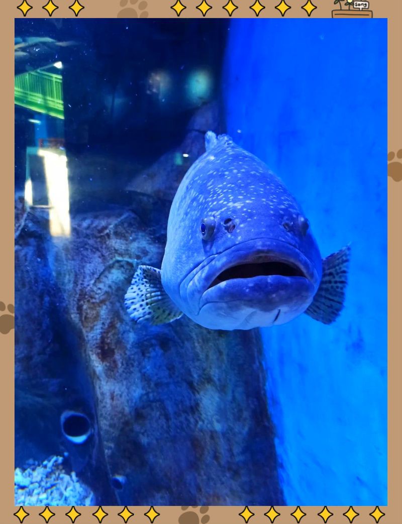 昭通水族館，昭通海洋世界游