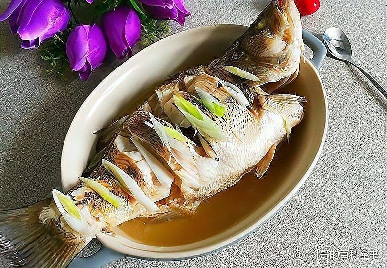 鱸魚為什么沒人吃了，曾受追捧的鱸魚為何如今吃的人越來越少了5個原因太現實