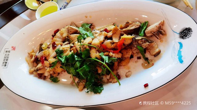 奇臺龍魚店，奇臺龍魚店有哪些品種
