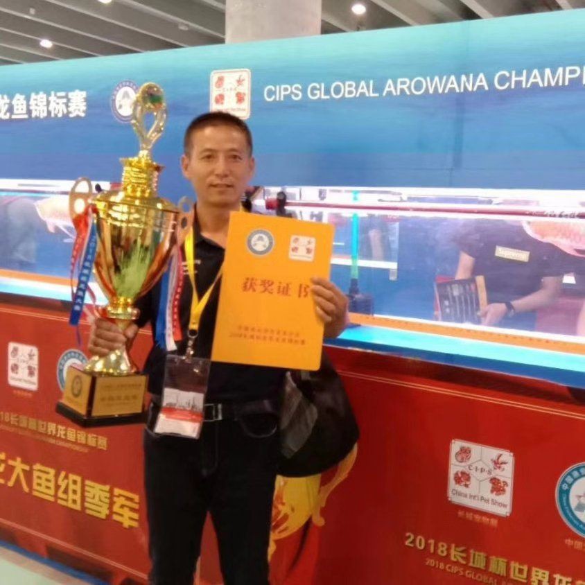 泉州魚缸店，泉州信德魚缸有限公司成立于2018年石獅市鳳里街道