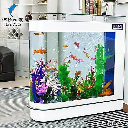 綿陽魚缸批發(fā)市場，綿陽魚缸批發(fā)市場分布廣泛且業(yè)態(tài)多元