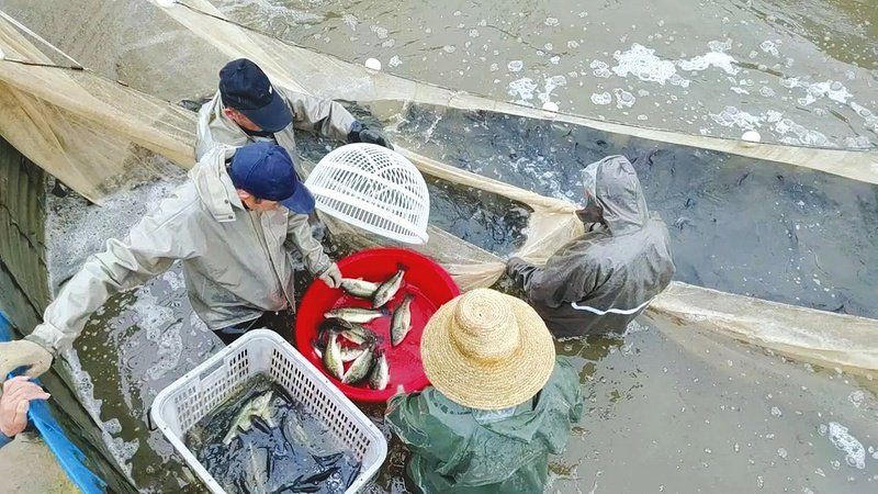 隨州魚缸批發市場，隨州魚缸批發市場在哪里進貨 隨州魚缸批發市場，隨州魚缸批發市場在哪里進貨 全國水族館企業名錄 第1張