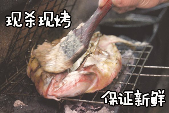 安陽縣龍魚店，安陽縣龍魚店的歷史背景