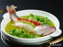 安慶龍魚店，安慶哪里可以買到觀賞性龍魚