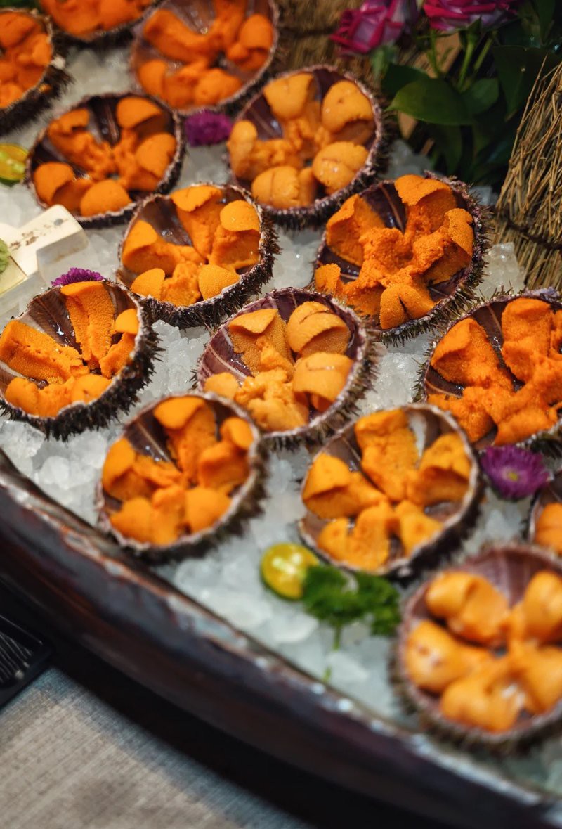 劍河水族店，劍河縣新欣生態(tài)水族館教你開(kāi)好一家水族店別人家的水族店