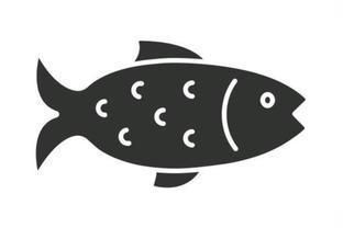 家里養的銀龍魚死了預示著什么，《家行不悖的應對模式：老一輩傾向于焚香祈福銀龍魚死亡