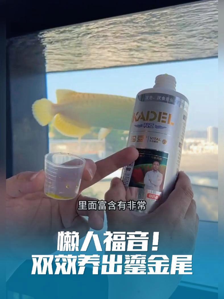如何促進紅龍的發色？，如何促進紅龍的發色