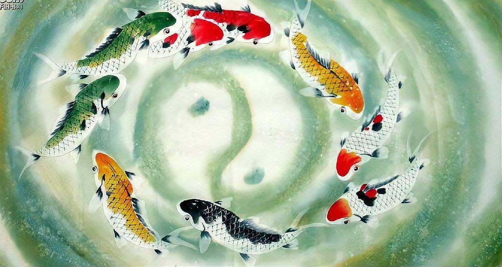 有沒有更多關(guān)于風水的小說？，十部必看風水玄學小說排行榜菲菲只小胖貓11本已完結(jié)