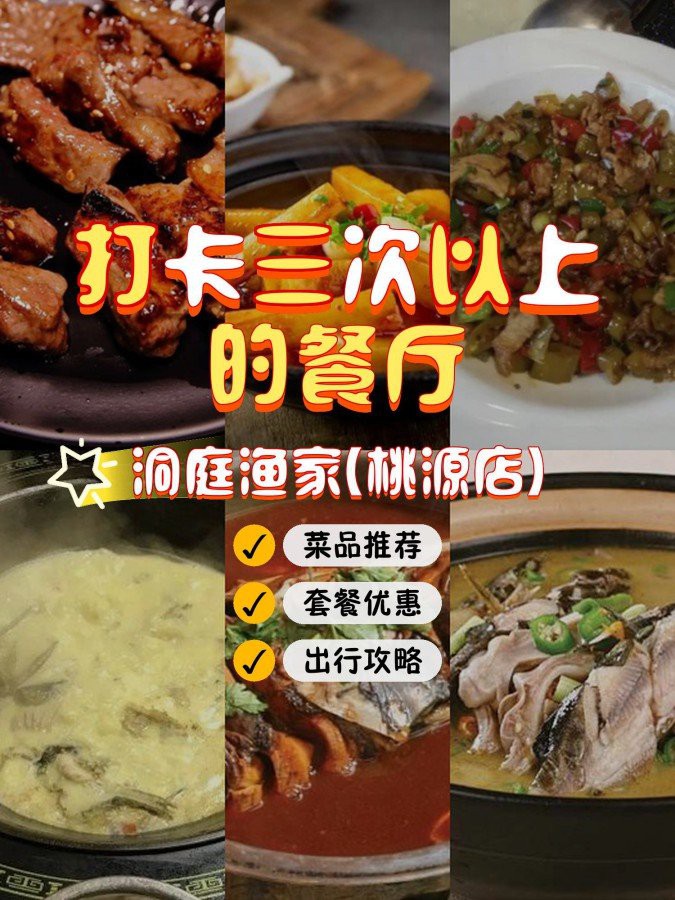 桃源龍魚店，桃源龍魚店的具體地址在哪里