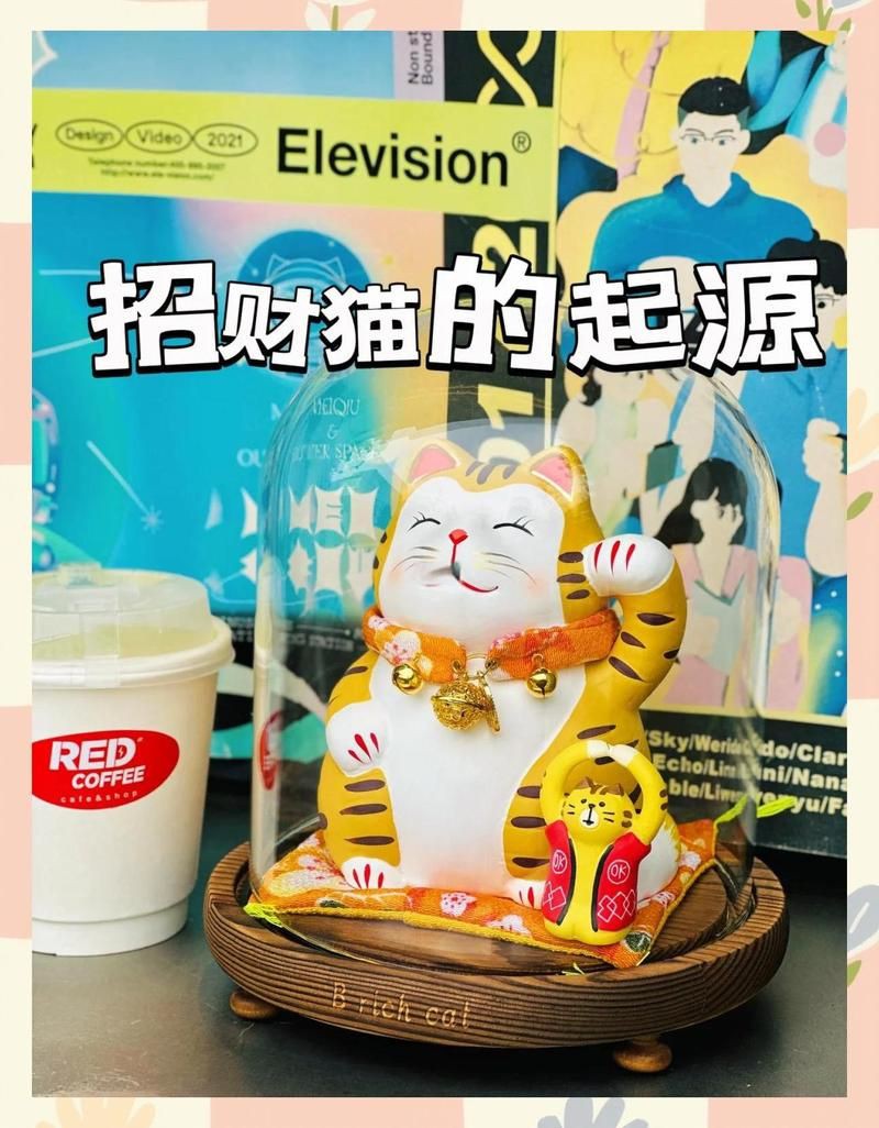 玖紋豹招財貓狗仔鯨，貓的秘密:它的“狗仔鯨”中的,探寶鯨