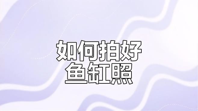 如何拍攝高質(zhì)量的紅龍魚照片？，天津魚友拍攝高質(zhì)量紅龍魚照片技巧大揭秘如何拍出唯美畫面